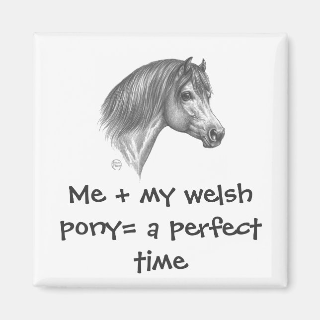 Íman Welsh Pony & Cob Society of America (Frente)