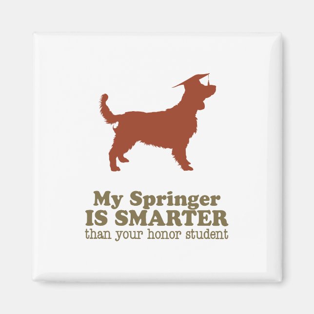 Íman Welsh Springer Spaniel (Frente)