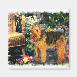 Íman Welsh Terrier Art Gifts