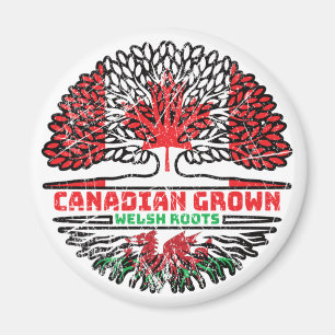 Íman Welsh Wales Canada Tree Roots Flag