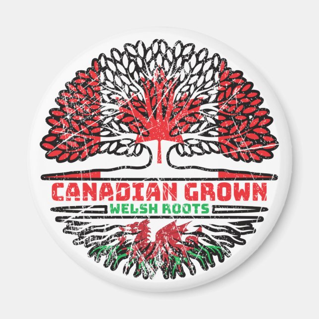 Íman Welsh Wales Canada Tree Roots Flag (Frente)