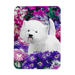 Íman West Highland White Terrier Pintando Arte Canina
