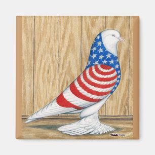 Íman West of England Patriot Tumbler