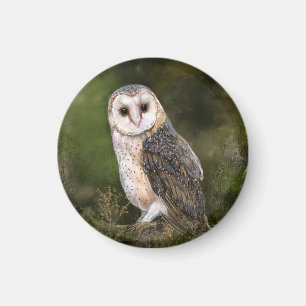 Íman Western Barn Owl - Imagem de Cores-d'Água