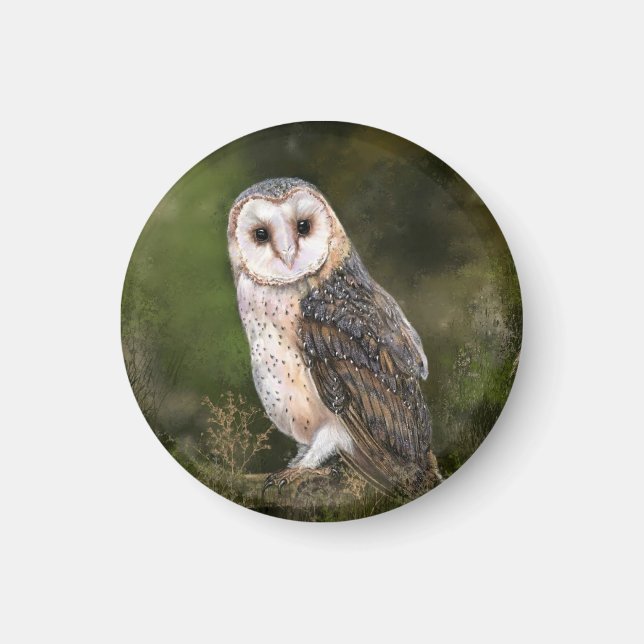 Íman Western Barn Owl Magnet (Frente)