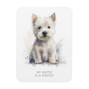 Íman Westie Cheeky Gift