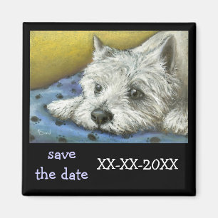 Íman Westie Daydreaming