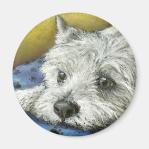 Íman Westie Daydreaming