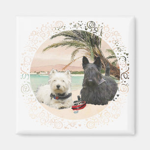 Íman Westie e Scottie na Praia Palmy