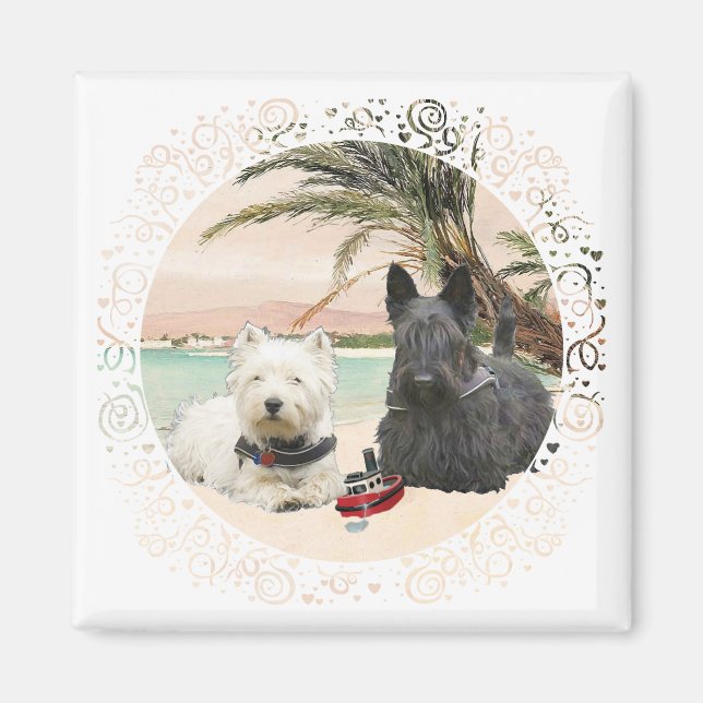 Íman Westie e Scottie na Praia Palmy (Frente)