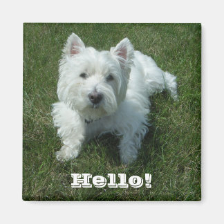 Íman Westie Hello Photo Magnet