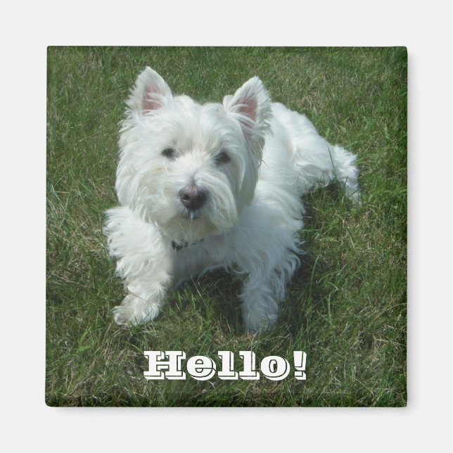 Íman Westie Hello Photo Magnet (Frente)
