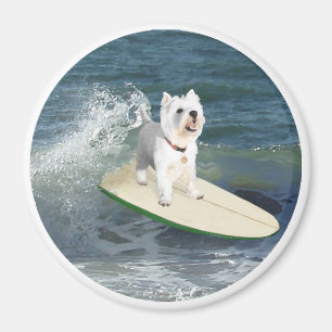 Íman Westie Surfista