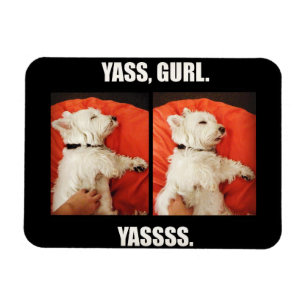 Íman Westie Yass Gurl engraçado