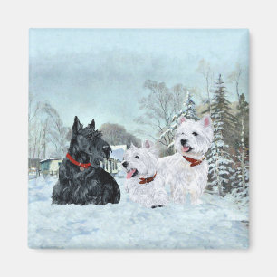 Íman Westies e Scottie no Inverno