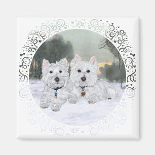 Íman Westies no Inverno