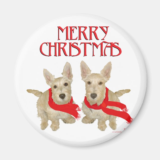 Íman Wheaten Scottish Terrier Natal (Frente)