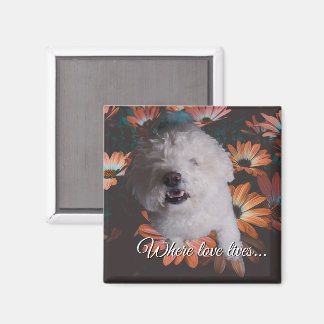 Íman Where Love Lives Magnet