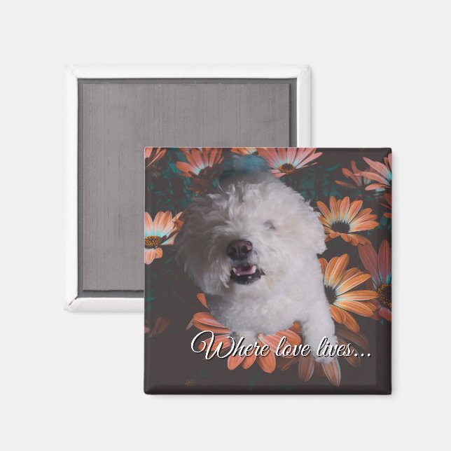 Íman Where Love Lives Magnet (Front/Back)