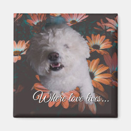 Íman Where Love Lives Magnet