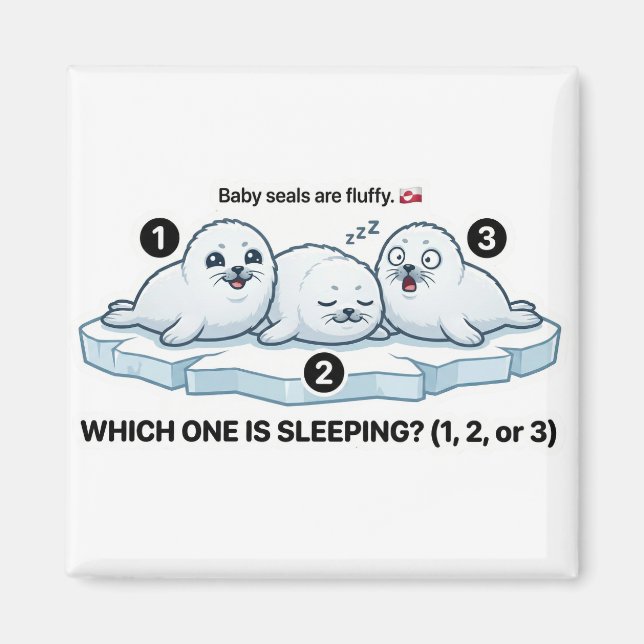 Íman Which One Is Sleeping? – Baby Seal Learning Magnet (Frente)