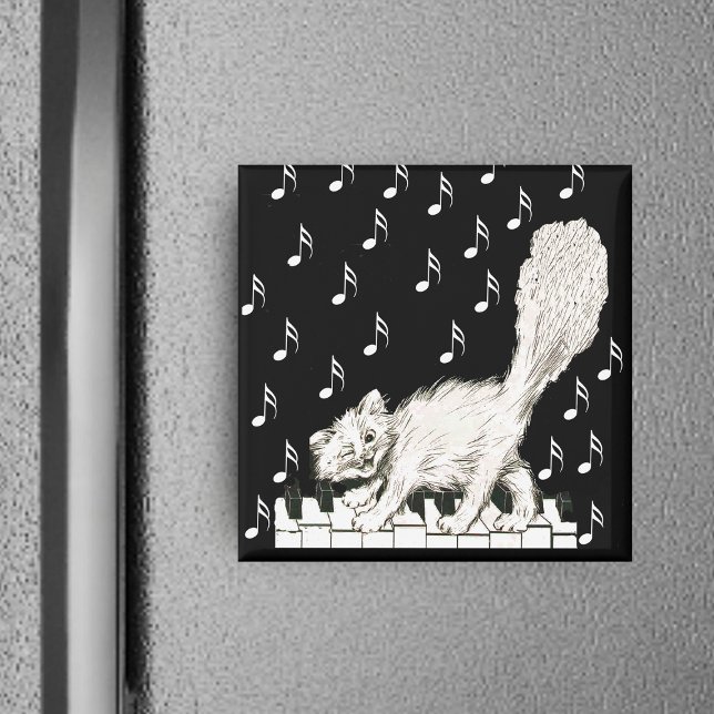 Íman Whie Cat em Chaves Piano (Winking white cat walking on piano keys with music notes on black square magnet.)