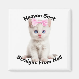 Íman Whimsical Cat