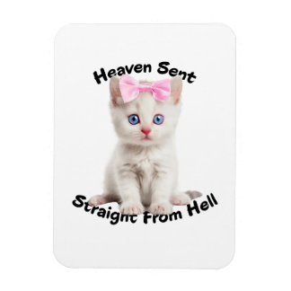 Íman Whimsical Cat