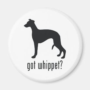 Íman Whippet