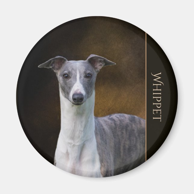 Íman Whippet (Frente)