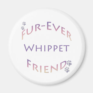 Íman Whippet Fuever Amigo
