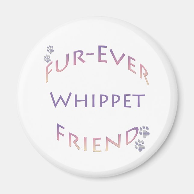 Íman Whippet Fuever Amigo (Frente)