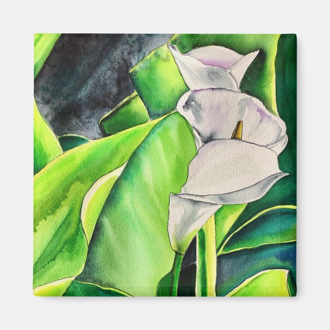 Íman White Arum Lily Watercolor, floral tropical (Frente)