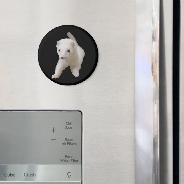 Íman White Baby Ferret Magnet (In Situ (Fridge))