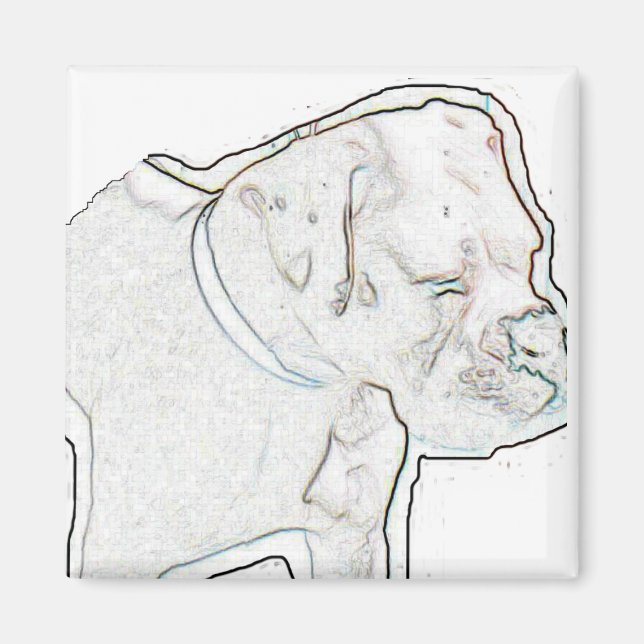 Íman White Boxer (Frente)