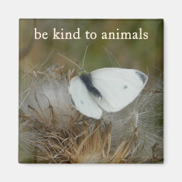 Íman White Butterfly "Be Kind to Animals" Magnet