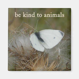 Íman White Butterfly "Be Kind to Animals" Magnet