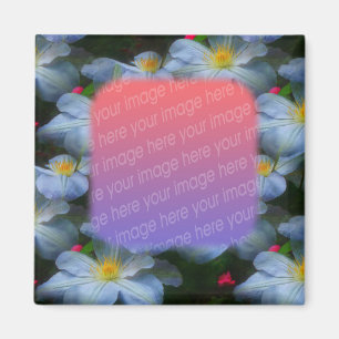 Íman White Clematis Flor Sua Foto