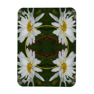 Íman White Daisy Flower Frame Adicionar Sua Própria Fot