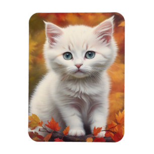 Íman White Kitten Autumn Deixa Retrato