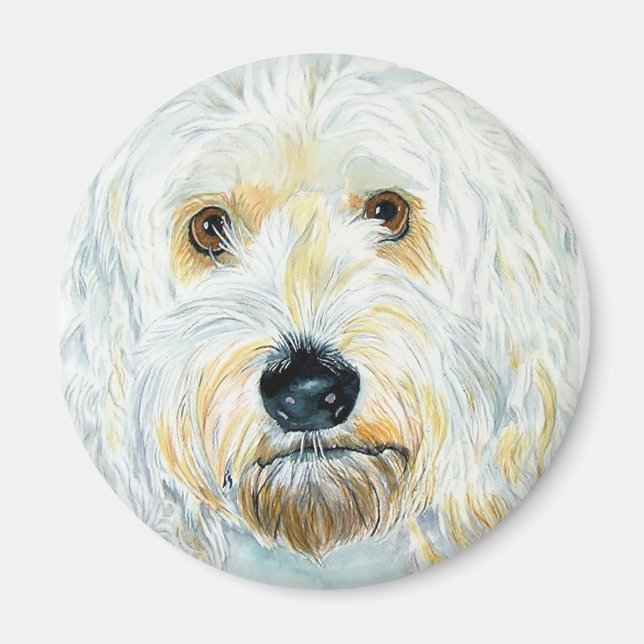 Íman White Labrdoodle Maggie Magnet (Frente)