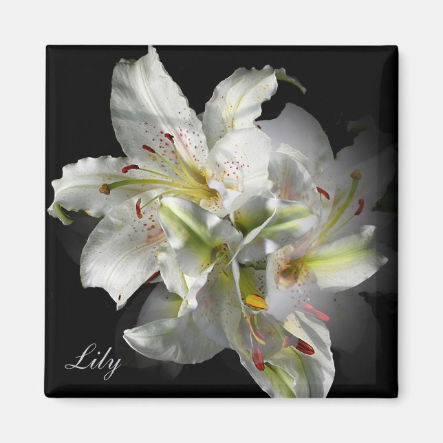 Íman White Lily Fantasy (Frente)