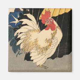 Íman White Rooster Fine Art
