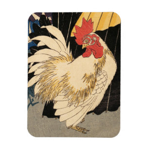 Íman White Rooster Fine Art