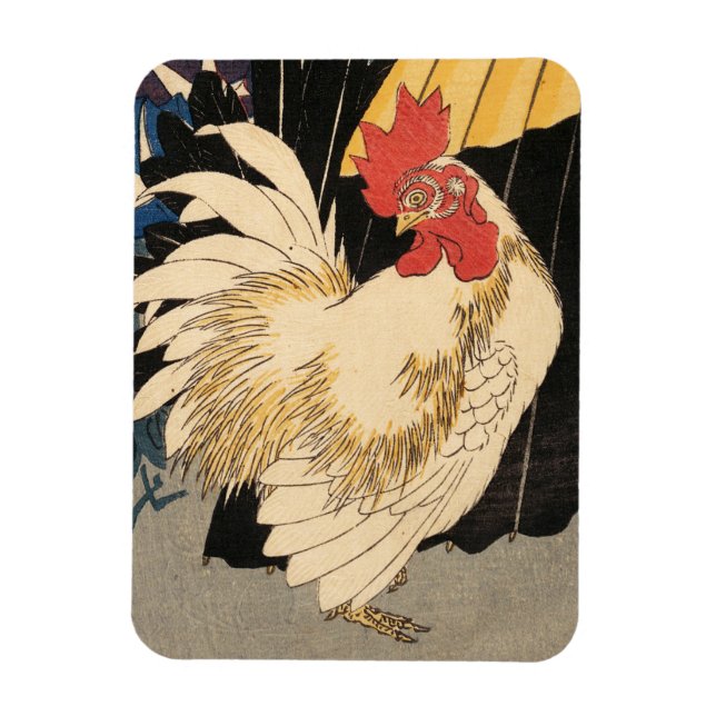 Íman White Rooster Fine Art (Vertical)
