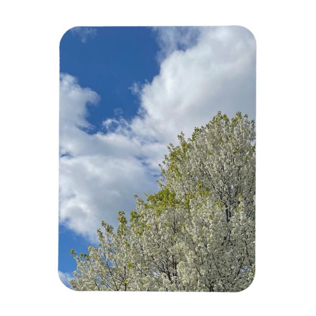 Íman White Tree Blue Sky Clouds Photo (Vertical)