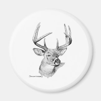 Íman Whitetail Deer