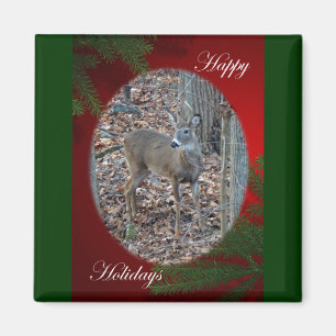 Íman Whitetail Deer Spike Buck Série Felizes Feriados