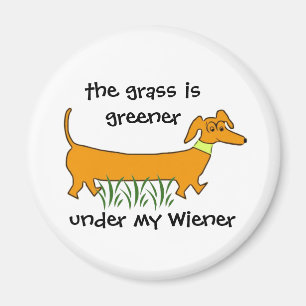 Íman Wiener do Dachshund