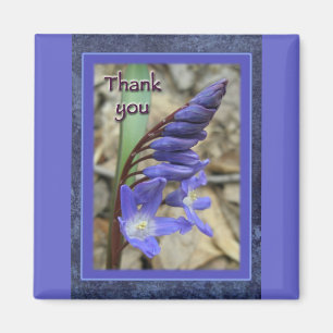 Íman Wild Blue Hyacinth Obrigado